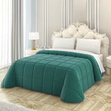 Ruocco Home Snag Velvet Double Quilt